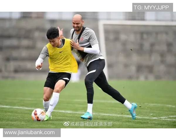 西安篮球队的默契配合与战术分析探讨