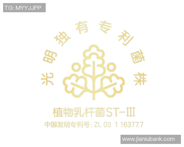 牛奶足球的奇妙旅程：从草地到餐桌的美味与激情交融